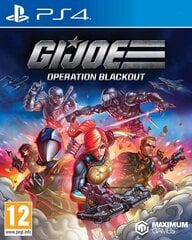 Spēle priekš PlayStation 4, G.I. Joe: Operation Blackout цена и информация | Компьютерные игры | 220.lv