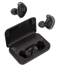 Evelatus Bluetooth Earbuds 2 EBE02, Черного цвета цена и информация | Наушники | 220.lv