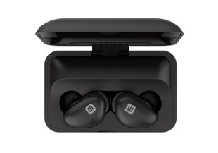 Evelatus Bluetooth Earbuds 2 EBE02, Черного цвета цена и информация | Evelatus Компьютерная техника | 220.lv