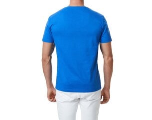 Хлопчатобумажная футболка, V-вырез, сини цена и информация | Мужские футболки | 220.lv