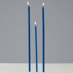 Восковые церковные свечи «Даниловo» синего цвета, №140, 25 штук, 72 граммов цена и информация | Церковные свечи, подсвечники | 220.lv