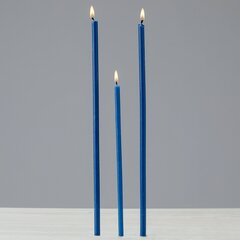 Восковые церковные свечи «Даниловo» синего цвета, №100, 250 штук, 1000 граммов цена и информация | Церковные свечи, подсвечники | 220.lv