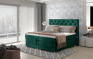 Электрическая кровать NORE Clover 10, 160x200, зеленая цена и информация | Кровати | 220.lv