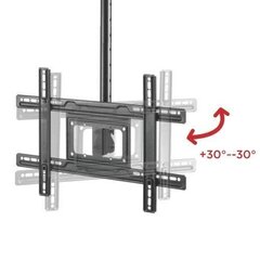 Maclean MC-803, 100" цена и информация | Кронштейны для монитора | 220.lv