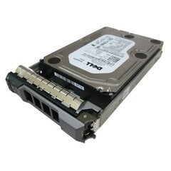 Внутренний жесткий диск Dell Server HDD 2,5 дюйма 1,2 ТБ, 10000 об / мин, горячая замена, в 3,5-дюймовом HYBRID носителе, 12 Гбит / с, SAS цена и информация | Внутренние жёсткие диски (HDD, SSD, Hybrid) | 220.lv