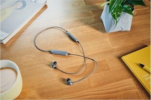 Panasonic wireless headset RP-HTX20BE-H, grey цена и информация | Наушники | 220.lv