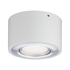 Потолочный светильник 79708 цена и информация | Потолочные светильники | 220.lv