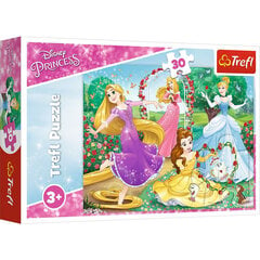 Puzle Trefl Disneja Princese (Disney Princess), 30 d. цена и информация | Пазлы | 220.lv