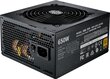 Cooler Master MPE-6501-AFAAG-EU цена и информация | Barošanas bloki (PSU) | 220.lv