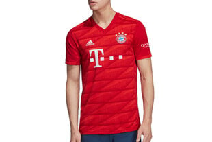 Мужская футболка Adidas Bayern Munich Home 19/20 M DW7410, красная цена и информация | Мужская спортивная одежда | 220.lv
