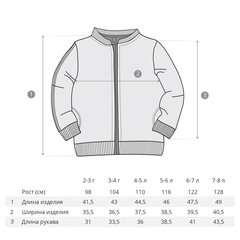 Džemperis "Sports", pelēks cena un informācija | Zēnu jakas, džemperi, žaketes, vestes | 220.lv