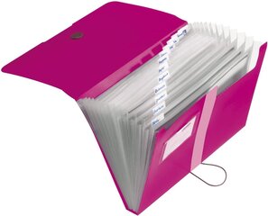 Папка-картотека А4 РР, 12 отделений, розовый цена и информация | Канцелярия | 220.lv