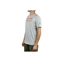 Спортивная футболка Puma Red Bull Racing Logo Tee M 595370 02, 61920 цена и информация | Мужская спортивная одежда | 220.lv