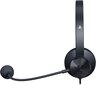 Razer RZ04 Black RZ04-02920200-R3G1 цена и информация | Austiņas | 220.lv