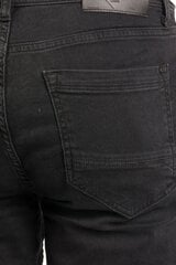 Джинсы BLK JEANS цена и информация | Мужские джинсы | 220.lv