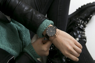 Sieviešu pulkstenis Emily Westwood EAU-B021R cena un informācija | Sieviešu pulksteņi | 220.lv