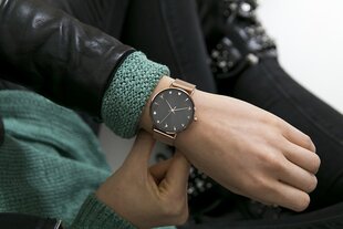 Sieviešu pulkstenis Emily Westwood EAU-3218 cena un informācija | Sieviešu pulksteņi | 220.lv