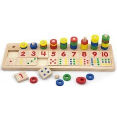 Обучающие деревянные кубики цена и информация | Развивающие игрушки | 220.lv