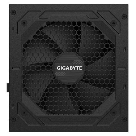 Gigabyte GP-P750GM cena un informācija | Barošanas bloki (PSU) | 220.lv