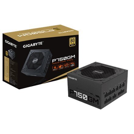 Gigabyte GP-P750GM cena un informācija | Barošanas bloki (PSU) | 220.lv