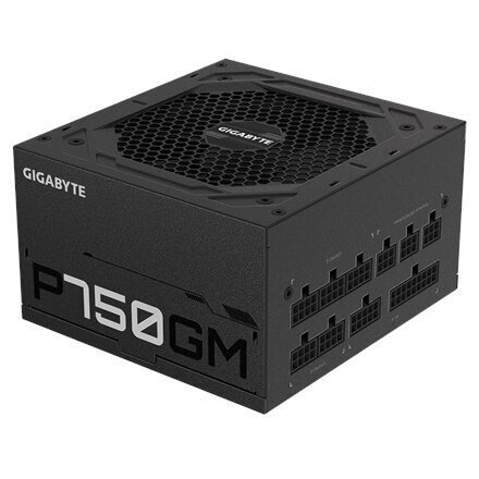 Gigabyte GP-P750GM cena un informācija | Barošanas bloki (PSU) | 220.lv