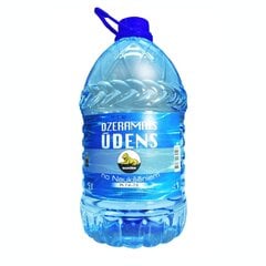 „Dzeramais ūdens “Naukšēni”” 5,0l cena un informācija | Ūdens | 220.lv
