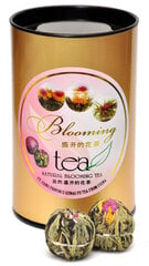 Blooming tea - "Even Better" - Ziedošā tēja "Pat Labāks!" 6.gab. цена и информация | Чай | 220.lv