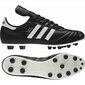 Futbola apavi vīriešiem Adidas Copa Mundial FG 015110 42923, melni цена и информация | Futbola apavi | 220.lv