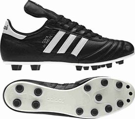 Футбольные бутсы Adidas Copa Mundial FG 015110,42923 цена и информация | Футбольные ботинки | 220.lv