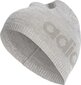 Vīriešu cepure Adidas CY5611, pelēka cena un informācija | Vīriešu cepures, šalles, cimdi | 220.lv