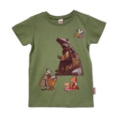 Лотте футболка дракон, 122 цена и информация | Рубашки для мальчиков | 220.lv