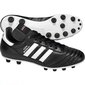 Futbola apavi Adidas Copa Mundial FG 015110, 42923 cena un informācija | Futbola apavi | 220.lv