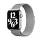 Apple Milanese Loop Silver цена и информация | Viedpulksteņu un viedo aproču aksesuāri | 220.lv