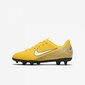 Futbola apavi Nike Mercurial Vapor 12 Club Neymar MG Jr AO9472-710, 44848 cena un informācija | Futbola apavi | 220.lv