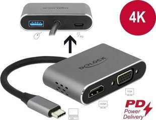 Delock 64074 цена и информация | Адаптеры и USB разветвители | 220.lv