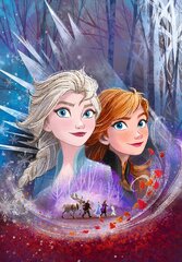 Puzle Clementoni Play For Future Ledus sirds 2 (Frozen 2), 104 d. cena un informācija | Puzles, 3D puzles | 220.lv