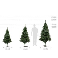 Ziemassvētku eglīte Pola 2.9 m kaina ir informacija | Mākslīgās egles, vainagi, statīvi | 220.lv