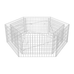 Шестиугольный забор из габиона, 160x139x50 см цена и информация | Вазоны | 220.lv