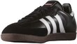 Futbola apavi Adidas Samba IN M 019000, 43942 цена и информация | Futbola apavi | 220.lv