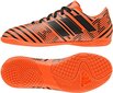 Futbola apavi Adidas Nemeziz 17.4 IN Jr S82467, 43941 цена и информация | Futbola apavi | 220.lv