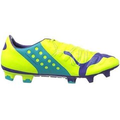 Futbola apavi Puma Evo Power 2 FG M 102945 04, 52037 cena un informācija | Futbola apavi | 220.lv