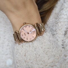Sieviešu pulkstenis Timex TW2T88500 cena un informācija | Sieviešu pulksteņi | 220.lv