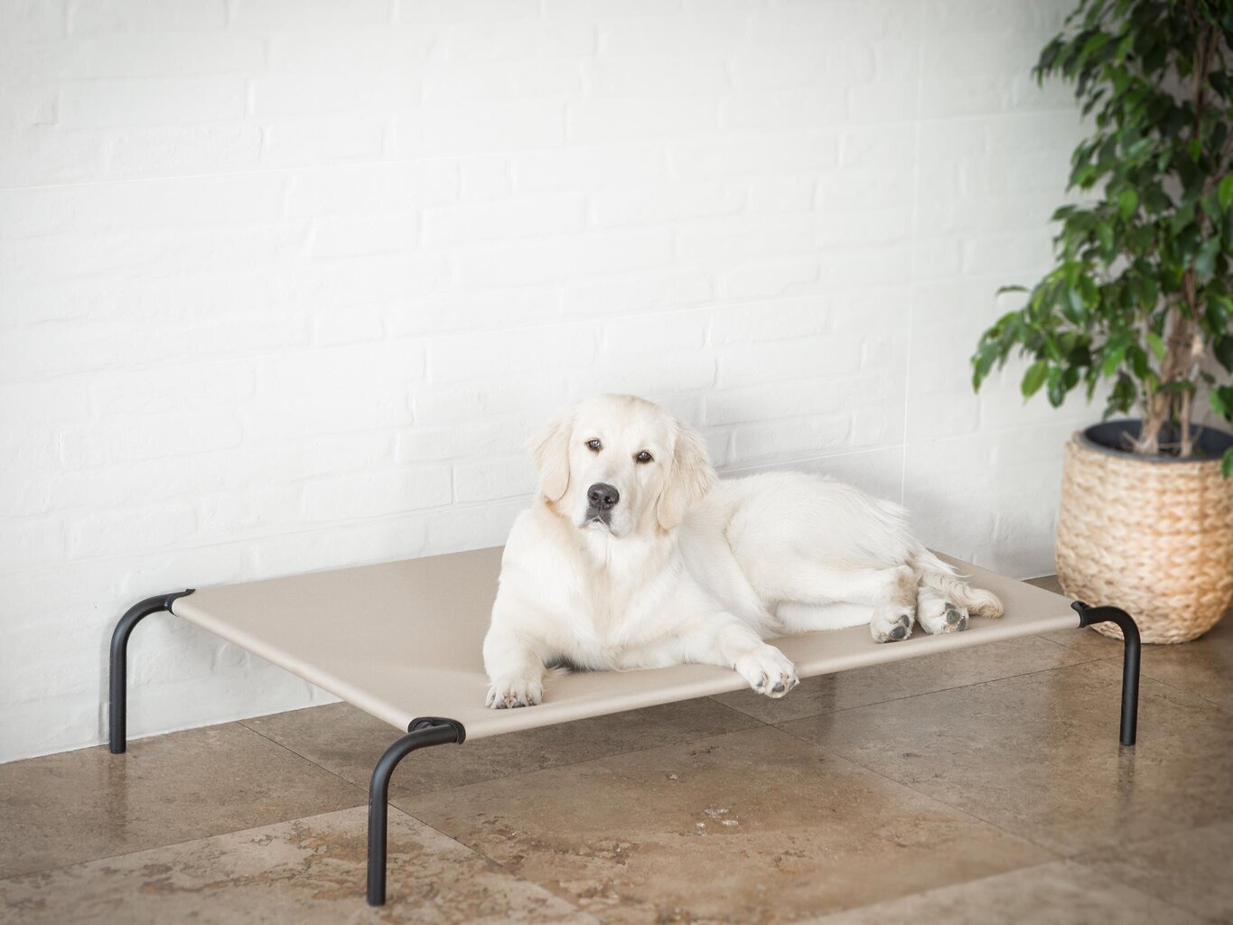 Hobbydog guļvieta Iron Beige L, 80x42x15 cm цена и информация | Suņu gultas, spilveni, būdas | 220.lv