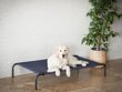Hobbydog guļvieta Iron Dark Blue L, 80x42x15 cm цена и информация | Suņu gultas, spilveni, būdas | 220.lv