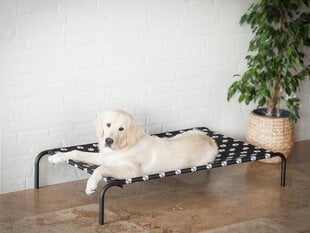 Hobbydog guļvieta Iron Black Paws XL, 100x55x20 cm cena un informācija | Suņu gultas, spilveni, būdas | 220.lv