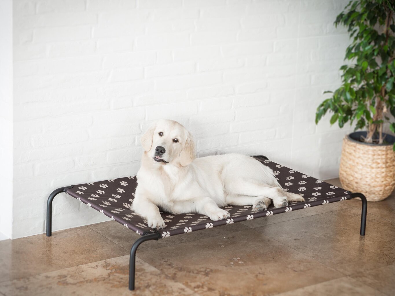 Hobbydog guļvieta Iron Brown Paws XXL, 120x68x20 cm цена и информация | Suņu gultas, spilveni, būdas | 220.lv