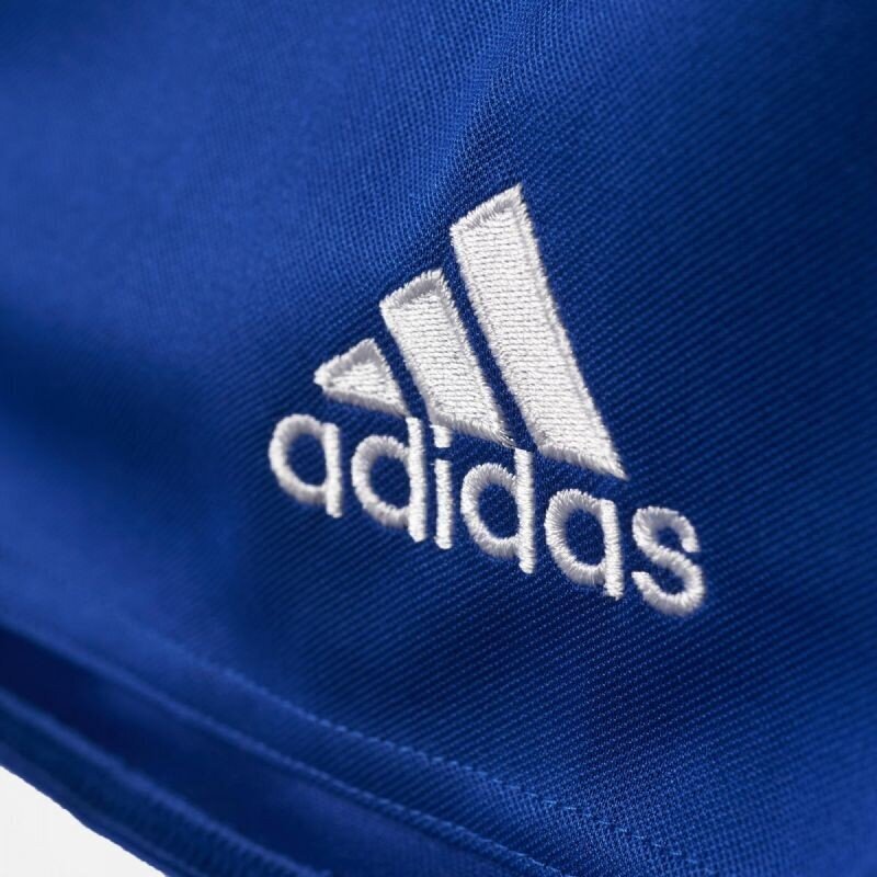Sporta šorti Adidas Parma 16 M AJ5882, 43206 cena un informācija | Sporta apģērbs vīriešiem | 220.lv