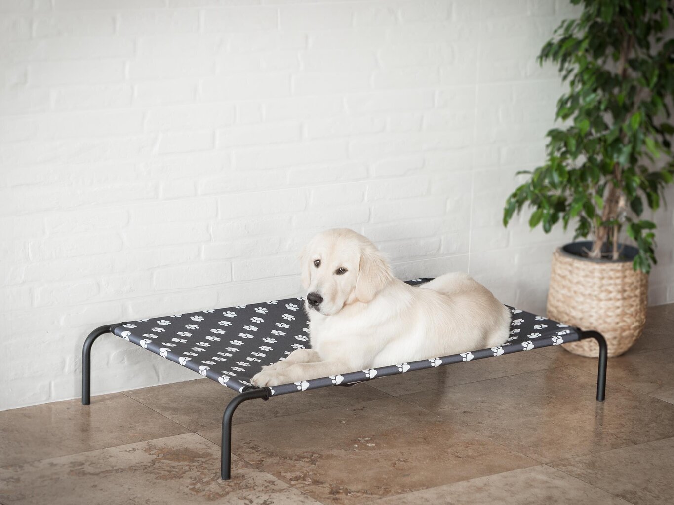 Hobbydog guļvieta Iron Dark Grey Paws L, 80x42x15 cm цена и информация | Suņu gultas, spilveni, būdas | 220.lv