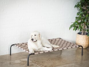 Hobbydog guļvieta Iron Beige Paws XL, 100x55x20 cm cena un informācija | Suņu gultas, spilveni, būdas | 220.lv
