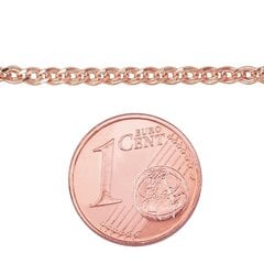 Золотая цепочка Мона-лиза 2.1 мм , облегченное, алмазная обработка граней цена и информация | Украшения на шею | 220.lv